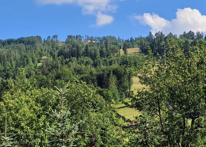 4 Gory Apartmán Szczyrk